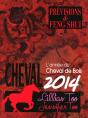 Cheval 2014 - Previsions Et Feng Shui - Preview