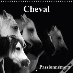 Capa do artigo Cheval Passionnement Calendrier Mural 2018 300 300 Mm Square