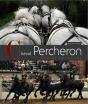 Cheval Percheron, Cheval Du Monde - Preview