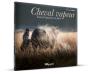 Cheval Vapeur - Preview