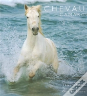 Chevaux De Camargue