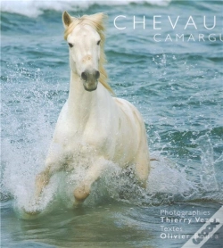 Capa do artigo Chevaux De Camargue