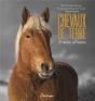 Chevaux De Terre Et Vent D'Hiver - Preview