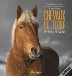Capa do artigo Chevaux De Terre Et Vent D'Hiver