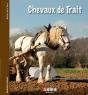 Chevaux De Trait - Preview