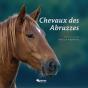 Chevaux Des Abbruzzes - Preview