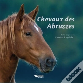 Chevaux Des Abbruzzes