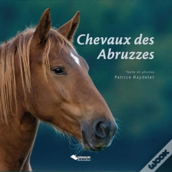 Capa do artigo Chevaux Des Abbruzzes