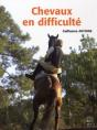Chevaux En Difficultés ; Diagnostics Et Préconisations - Preview