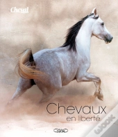 Chevaux En Liberté