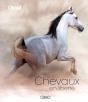 Chevaux En Liberté - Preview
