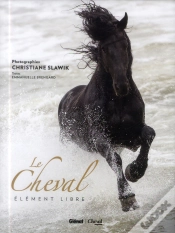 Capa do artigo Chevaux En Liberte