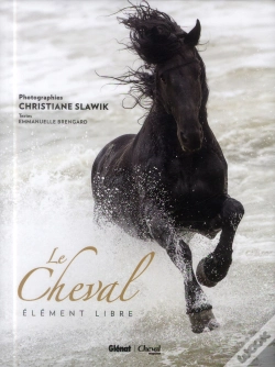 Capa do artigo Chevaux En Liberte