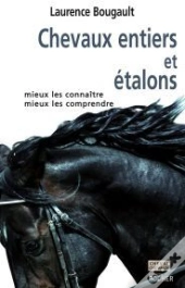 Chevaux Entiers Et Étalons : Mieux Les Connaître, Mieux Les Comprendre