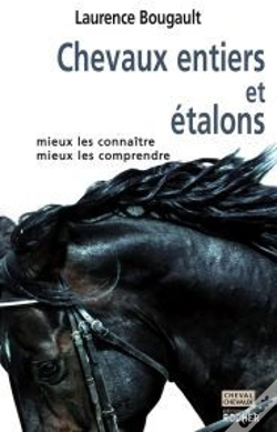 Capa do artigo Chevaux Entiers Et Étalons : Mieux Les Connaître, Mieux Les Comprendre