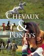 Chevaux Et Poneys ; Choisir, Soigner, Monter - Preview