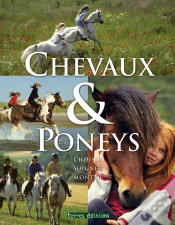 Capa do artigo Chevaux Et Poneys ; Choisir, Soigner, Monter