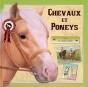 Chevaux Et Poneys - Preview