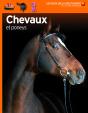 Chevaux Et Poneys - Preview