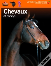 Capa do artigo Chevaux Et Poneys