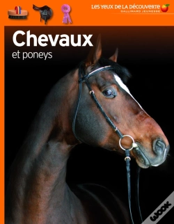 Capa do artigo Chevaux Et Poneys