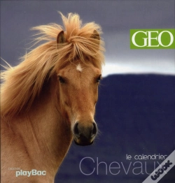Capa do artigo Chevaux : Le Calendrier Geo