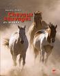 Chevaux Sauvages Du Monde - Preview