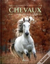 Capa do artigo Chevaux : Un Univers Fabuleux
