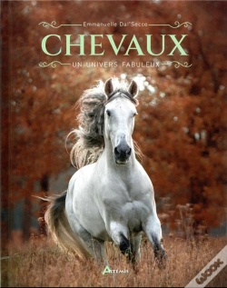 Capa do artigo Chevaux : Un Univers Fabuleux