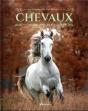 Chevaux : Un Univers Fabuleux - Preview