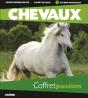 Chevaux - Preview