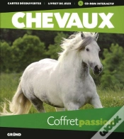 Capa do artigo Chevaux