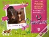 Capa do artigo Chevaux