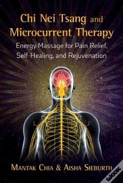 Capa do artigo Chi Nei Tsang And Microcurrent Therapy