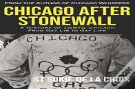 Chicago After Stonewall