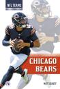Chicago Bears - Preview