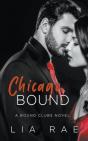 Chicago Bound - Preview