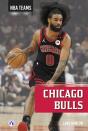 Chicago Bulls - Preview