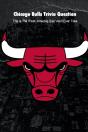 Chicago Bulls Trivia Question - Preview