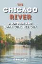 Chicago River - Preview