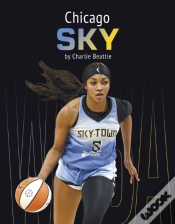 Capa do artigo Chicago Sky