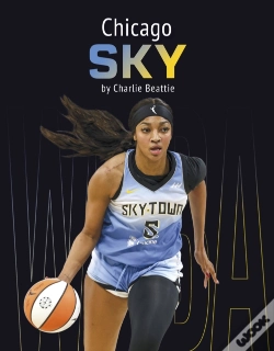 Capa do artigo Chicago Sky