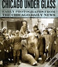 Chicago Under Glass