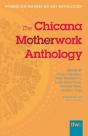 Chicana Motherwork Anthology - Preview