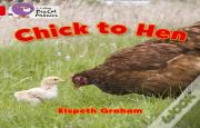 Chick To Hen