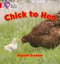 Chick To Hen - Preview