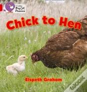 Capa do artigo Chick To Hen