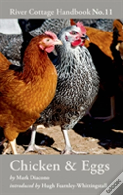 Capa do artigo Chicken & Eggs