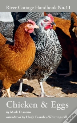 Capa do artigo Chicken & Eggs