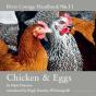 Chicken & Eggs - Preview